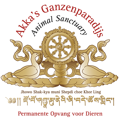 Akka's Ganzenparadijs logo